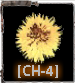 http://chernobyl-4.clan.su/pages/artefacts/night_star.png
